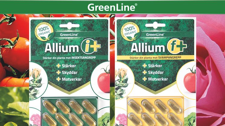 Stärk dina växter med Allium I-Plus och Allium F-Plus
