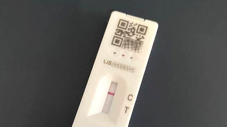 Lateral flow test