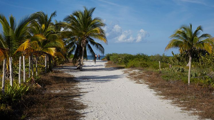 path-to-beach-el-cuyo-mexico-tui-large