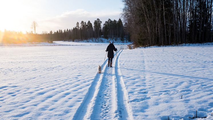 Frukostseminarium om tillämpad välfärdsforskning