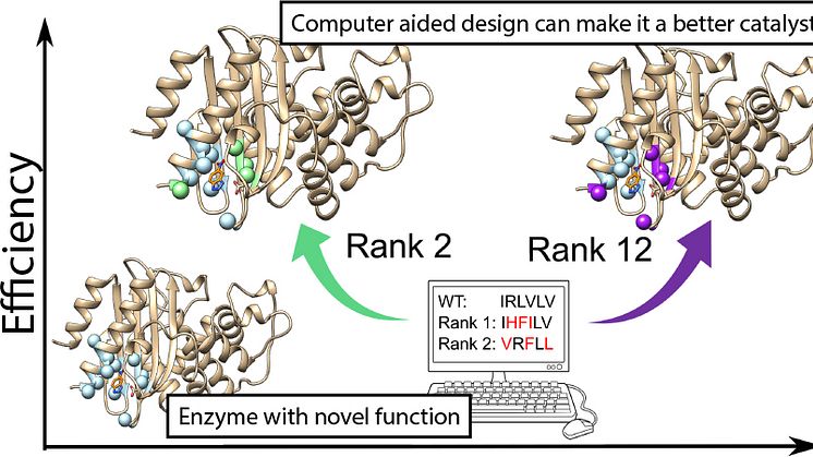 Building on ancient protein structures, it is possible to create enzymes for new chemical reactions and use bioinformatic computation to improve them. Credit: https://pubs.rsc.org/en/content/articlelanding/2020/sc/d0sc01935f