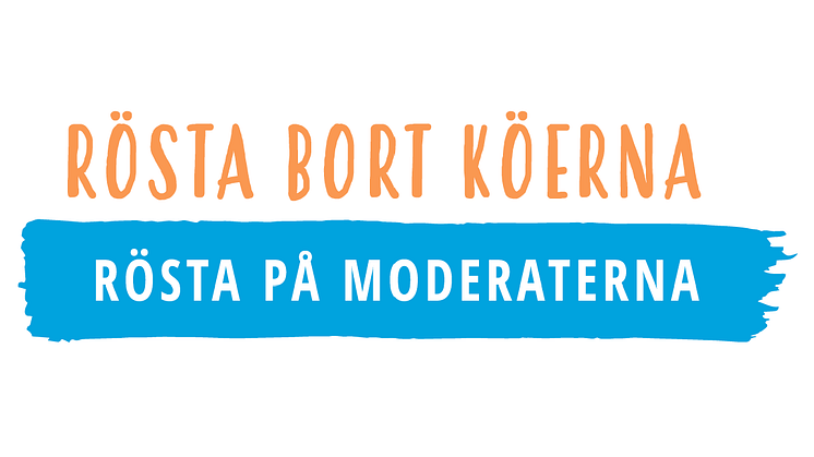 Moderat valmanifest för Region Skåne: Rösta bort köerna