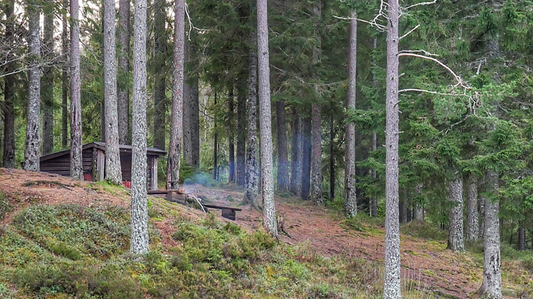 Ett vindskydd vid Björktjärn i Kilsbergen. Foto: Johan Karlström/Region Örebro Län.