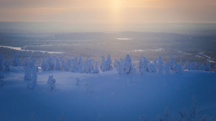 Foto: iStock, Tsuguliev