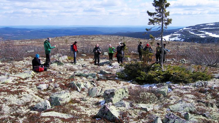 Gränslös turism i Fulufjällets nationalparker