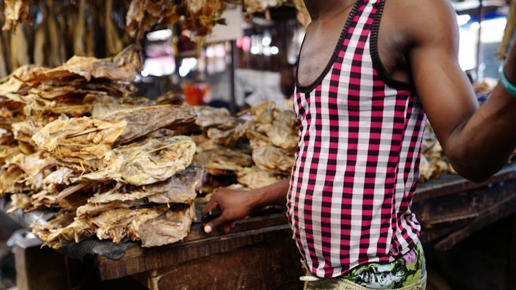 Tørrfiskselger på marked i Nigeria