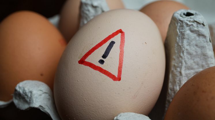 Wer sich insgesamt ausgewogen ernährt und ansonsten einen gesunden Lebensstil pflegt, bei dem wirkt sich ein Ei zum Frühstück am Wochenende oder der Verzehr mehrerer Eier an Ostern kaum auf den Cholesterinspiegel aus.