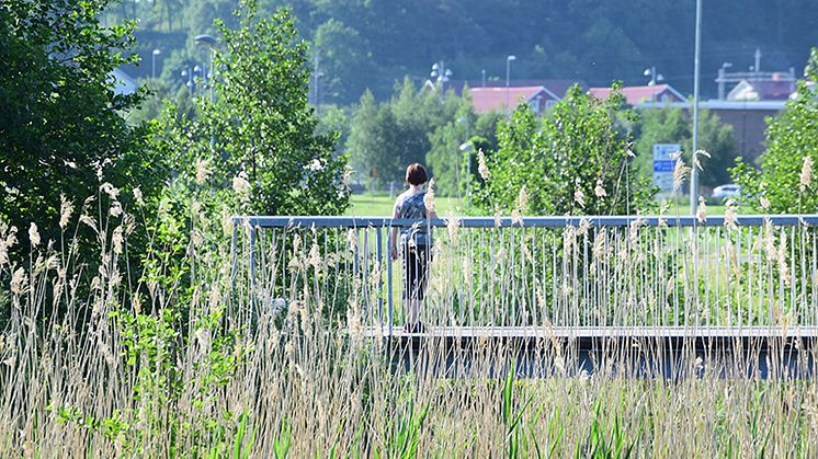 Kungsbacka kommun bjuder in invånare att tycka till om lekplatsen och parken i Björkris