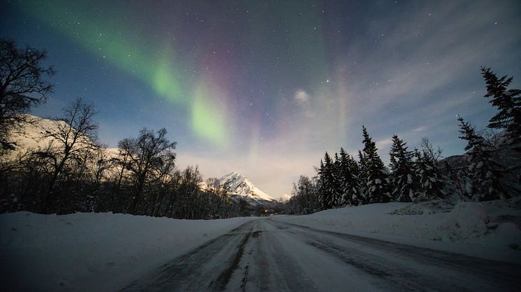 Best til å skape flyt i trafikken er de i Nord-Norge og Hedmark, og ikke overaskende er det unge menn som er hardest på gassen. 