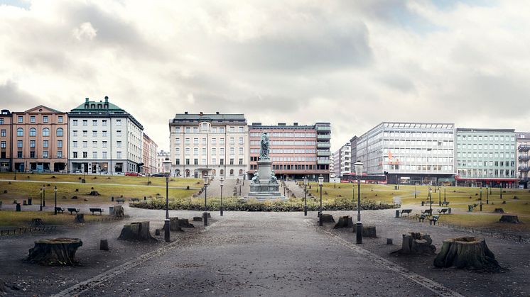 Humlegården i Stockholm blir kalhygge