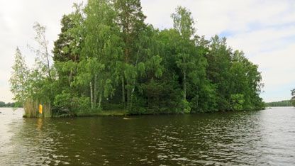 Lindön är Dalarnas äldsta naturreservat. Foto: Länsstyrelsen i Dalarnas län 