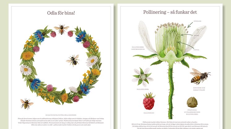 Pollinera Sverige affischer
