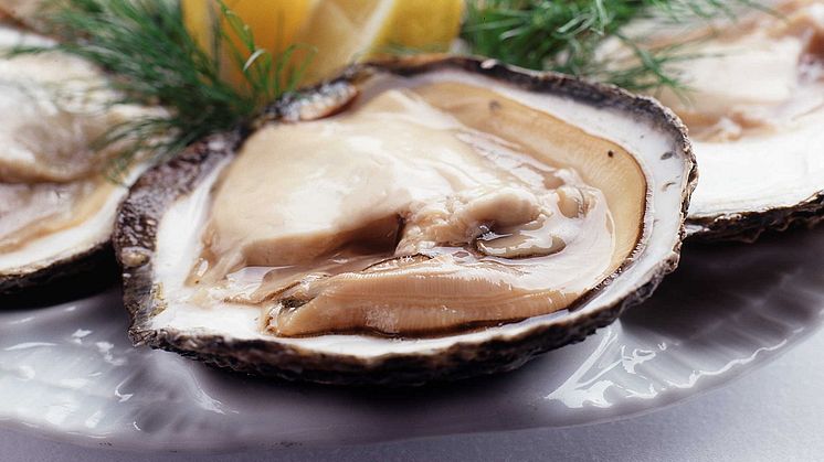 Danmark först i världen med MSC-certifierade ostron
