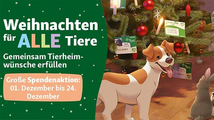 Keine traurigen Weihnachten im Tierheim: Fressnapf-Kund:innen und -Mitarbeitende sorgen für ein Fest der TierLiebe