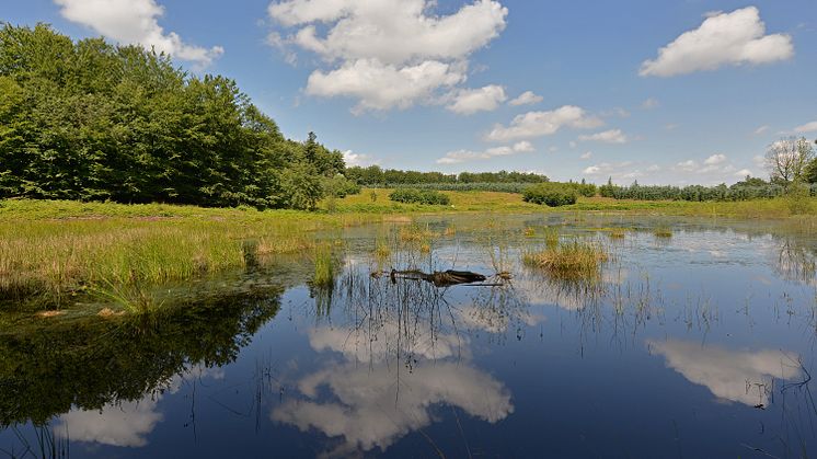 Fascinerende billeder fra dansk naturperle