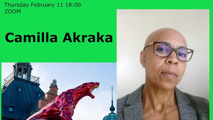 Ständigt närvarande frågor om klass, kön, ras, ålder och utseende... Välkommen till en zoomföreläsning med Camilla Akraka