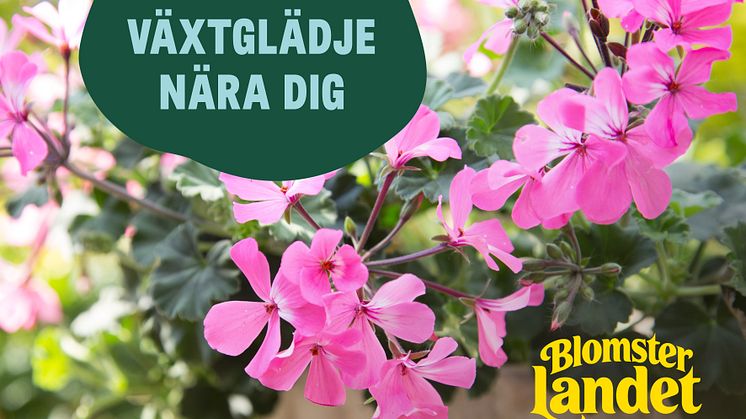 Växtglädje nära dig med Blomsterlandet.