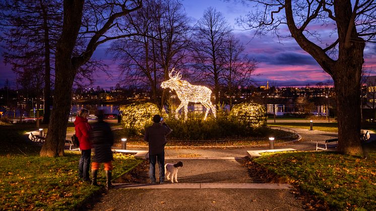 Foto: Fredrik Larsson / Visit Umeå