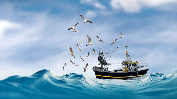 MSC-sertifioidut kalastukset auttavat suojelemaan meriämme
