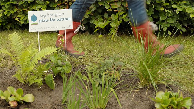En nyanlagd regnrabatt med en skylt som talar om att ägaren bidragit till klimatanpassningen genom att ta hand om regnvattnet i sin trädgård