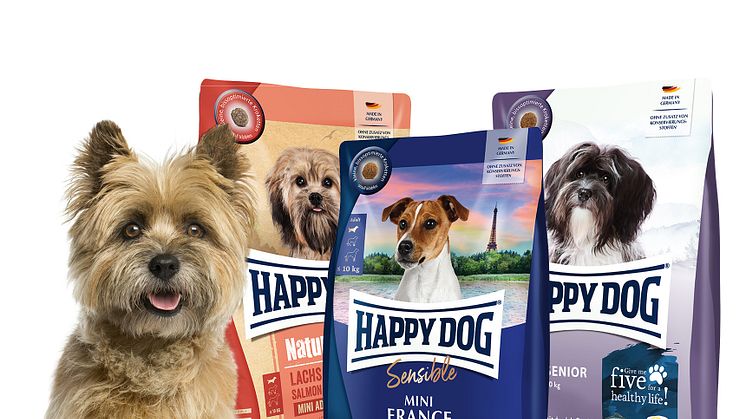 Happy Dog Ratgeber: Das richtige Ernährung kleiner Hunderassen im Winter