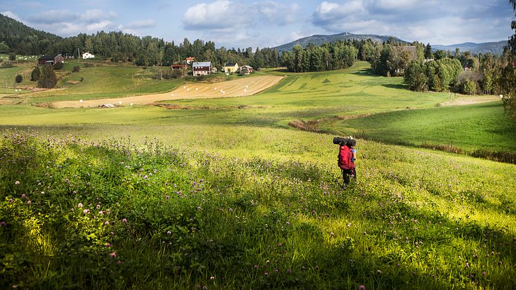 Attitydundersökningen visar att det finns en fortsatt stor framtidstro kopplad till turismen i Höga Kusten. Många ser stor utvecklingspotential i form av exempelvis fler hotell och boenden, bättre infrastruktur och större aktivitetsutbud.