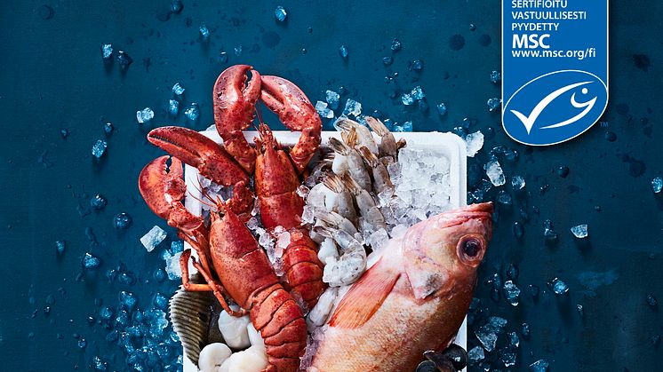 Suomen ainoat MSC-sertifioidut kalatiskit löytyvät nyt Food Market Herkuista