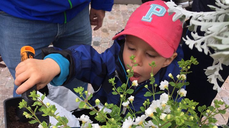 Barnen var trädgårdsmästare på Balkongens dag