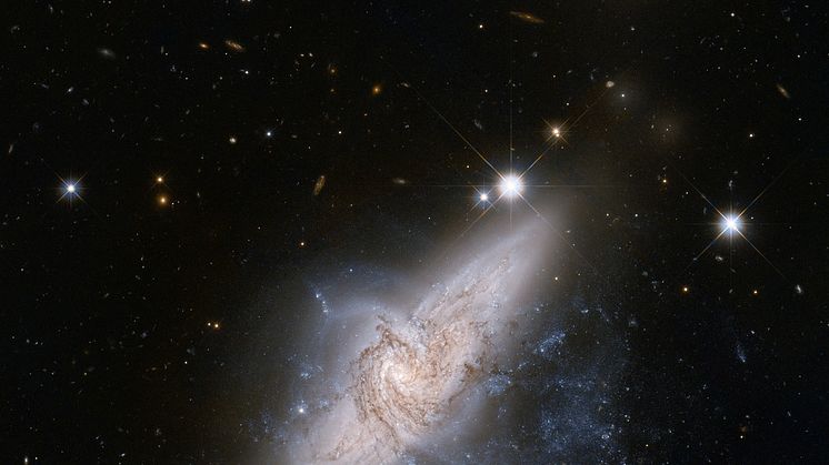 Forskare kan ha upptäckt ny typ av galax 