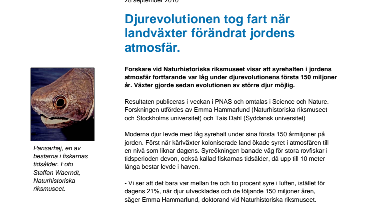 Djurevolutionen tog fart när landväxter förändrat jordens atmosfär