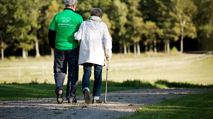 Pensionärer som hjälper äldre allt mer populärt