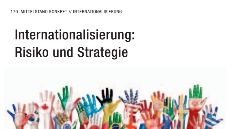 Internationalisierung in der Farben- und Lackindustrie: Risiko und Strategie 