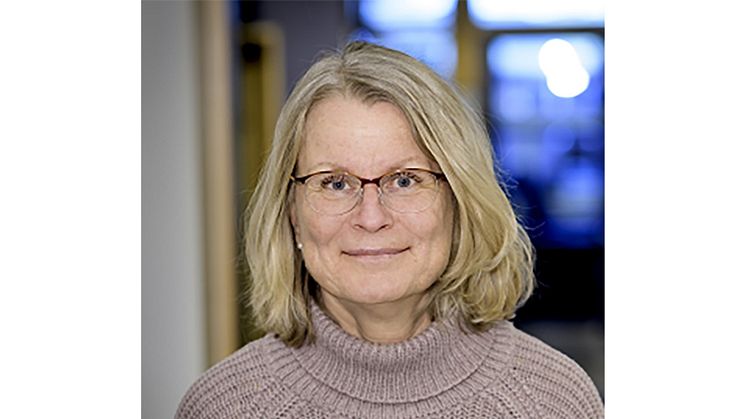 Professor Eva Degerman har tilldelats ett forskningsanslag på 316 000 kronor