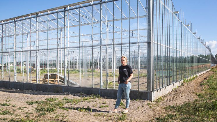 Anna Larsson på Viklundagård framför byggnationen av det nya växthuset. 