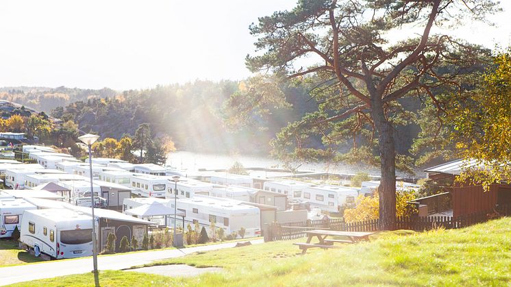 För 15:e gången utses Daftö Resort till Superplatz av ADAC.