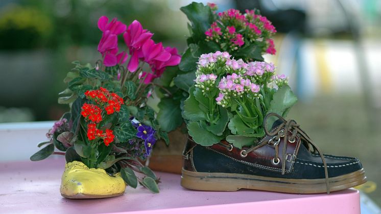 Barn i Stan planterar krukväxter i uttjänta skor och väskor