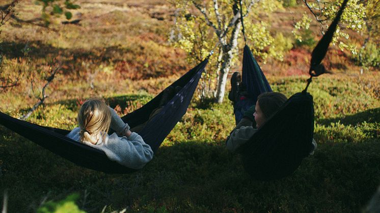 Bild tagen i närheten av Pettersfjället i Åre. Fotograf: Viktor Skogqvist