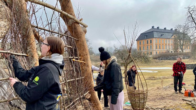 Öknaskolans elever och Kultivator arbetar med verket Göhsir på Nynäs slott. ﻿﻿Foto: Jonas Rahm