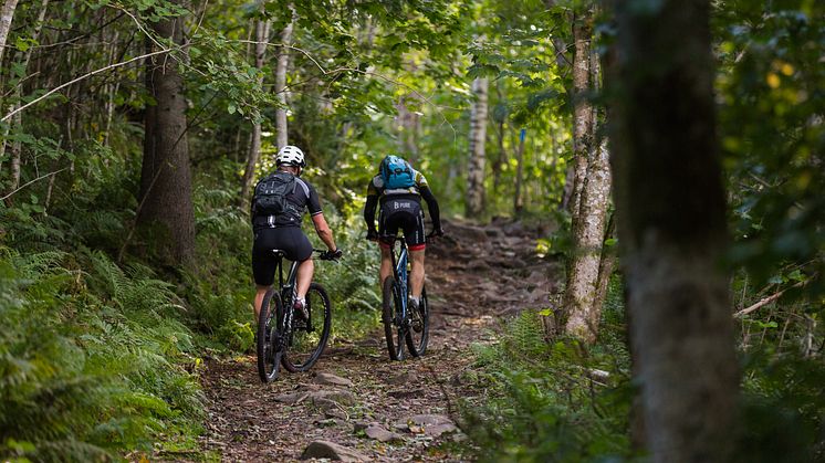 MTB cykling på Kinnekulle. Fotograf Jesper Anhede.