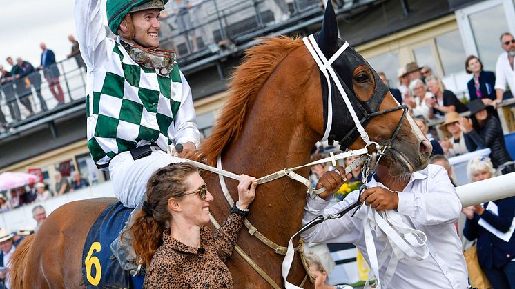 Hard One To Please överraskade alla i Jockeyklubben Svenskt Derby