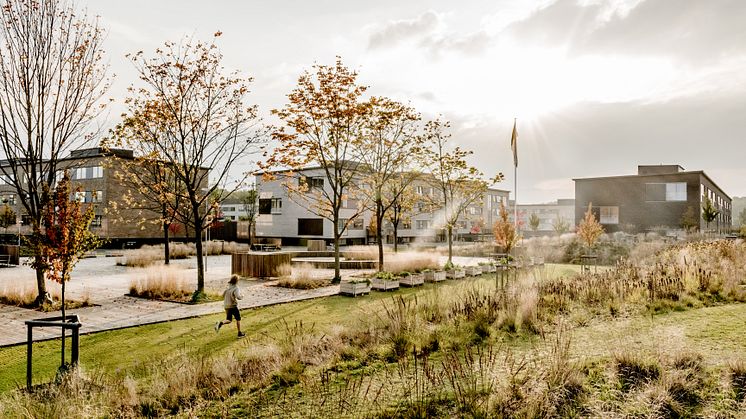 Sønderparken i Fredericia shortlistet til RENOVER prisen 2019