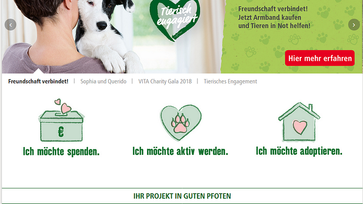 tierisch-enagagiert.de: Neues Hilfsportal für Tierfreunde und Tierschutzvereine in Deutschland
