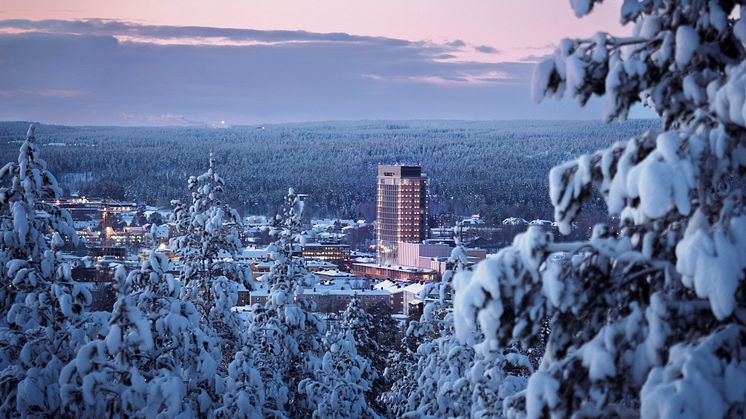 Stadsnära Vitberget erbjuder både förstklassig skidåkning och en fantastisk utsikt över Skellefteå. Fotograf: Visit Skellefteå