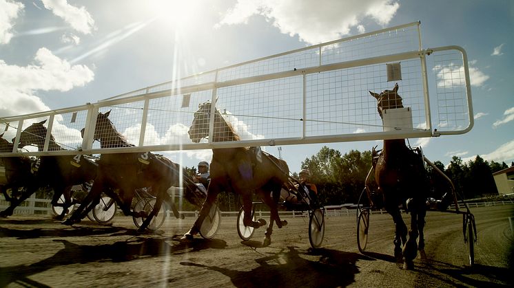 Uppdraget till ATG: 300 nya miljoner 2018