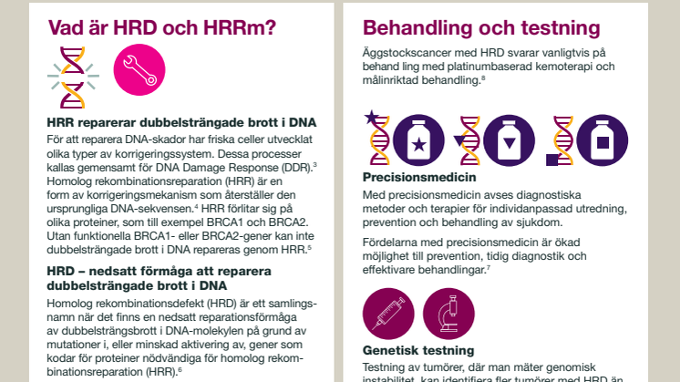 Äggstockscancer infografik: Reparationer av DNA-skador (Webb)