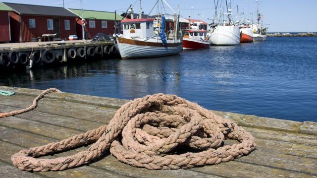 Med Sveriges hundratusen sjöar, tiotusentals mil strömmande vattendrag och cirka tvåhundra mil av kust finns goda förutsättningar för både fiske och vattenbruk men utmaningarna är många. Foto: Shutterstock. 
