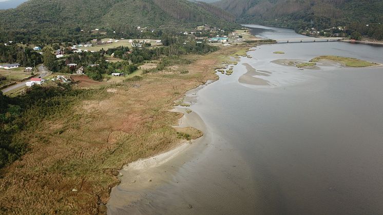 Aerial view of the Chaihuín tidal marsh in Chile