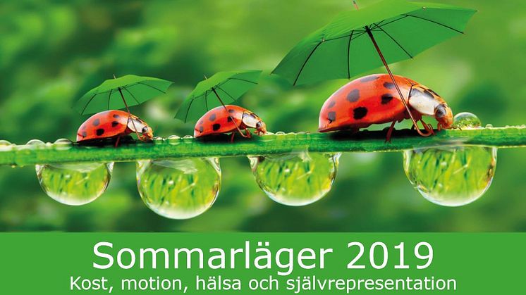 *FULLBOKAT* Inbjudan till sommarläger 2019 (fr. 18 år)