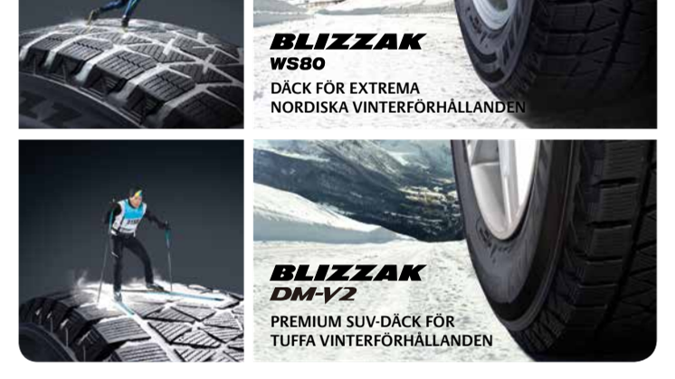 Produktblad Blizzak WS80 / DM-V2