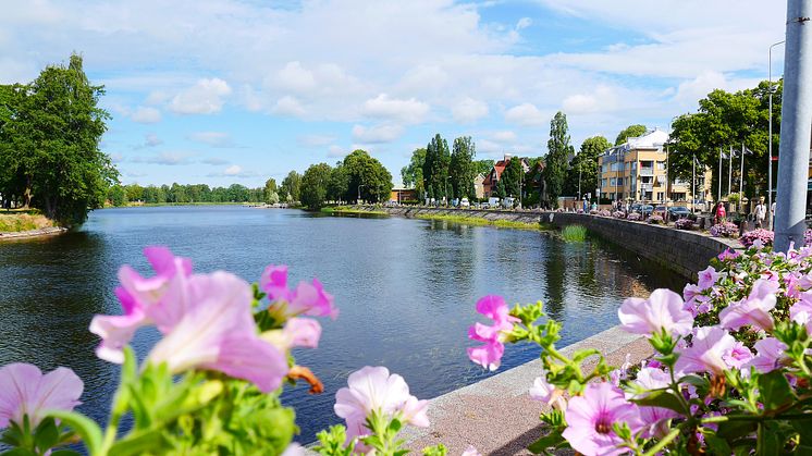 Sommarblommor utanför Stadshotellet 2016 då temat var äppelblom. 